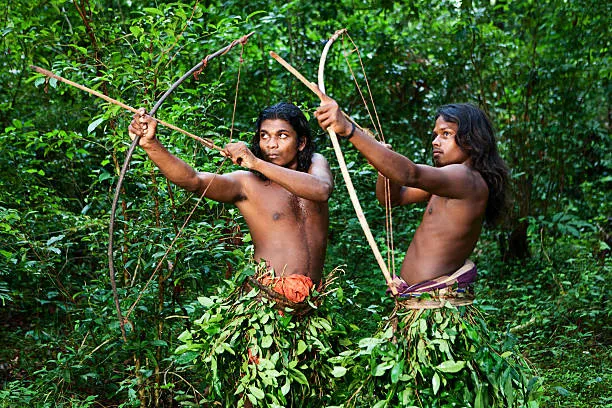 Wild Honey with the Forest People